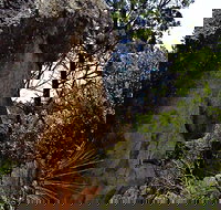 Mystery Face Walking Track - Stayed