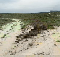 Ngarkat Conservation Park - Stayed