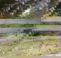 Nimmitabel Heritage Walk - Stayed