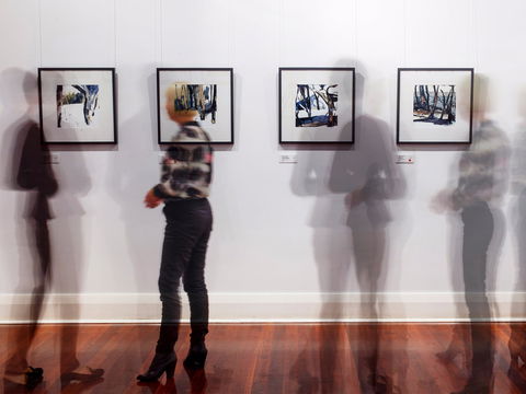 Northern Rivers Community Gallery - Stayed 0