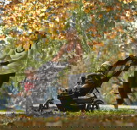 Noreuil Park - Stayed