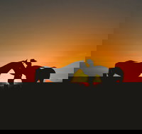 Outback Pony Rides Farm Experience - Stayed