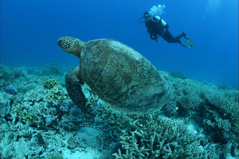 Pams Point - Stays Accommodation 0