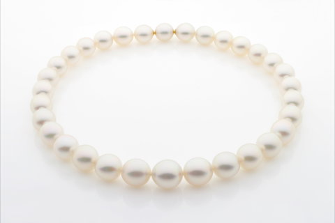 Paspaley - Stays Accommodation 1