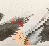 Pebbles and Pods - Stayed