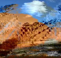 Red Banks Conservation Park - Stayed