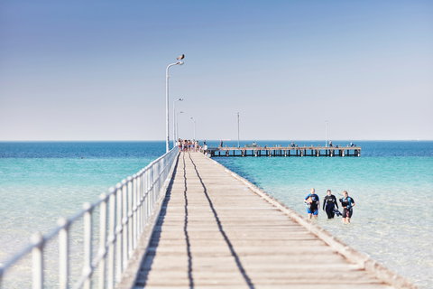 Rye Bay Trial - Stayed 1