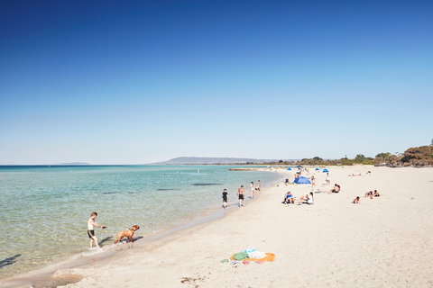 Rye Bay Trial - Stayed 2