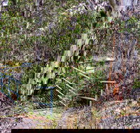 Sawpit Walking Track - Stayed