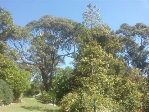 Shoalhaven Heads Native Botanic Garden - Stayed 1