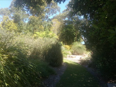 Shoalhaven Heads Native Botanic Garden - Stayed 2
