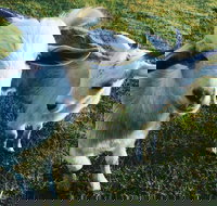 Splitters Farm - Stayed