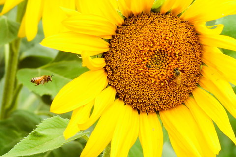 Splitters Farm - Stayed 1