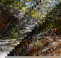 Starlights Trail - Stayed