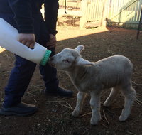 Taralga Wildlife Park - Stayed