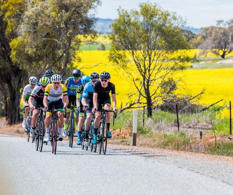 The West Side Story - Avon River Cycle Trail - Stayed 1