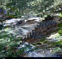 Towarri National Park - Stayed