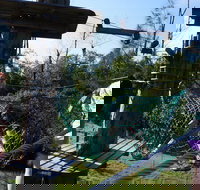 Trees Adventure - Lane Poole Park - Stayed