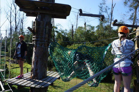 Trees Adventure - Lane Poole Park - Stayed 0