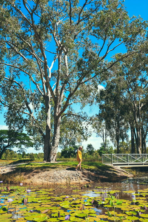 TYTO Wetlands - Stayed 1