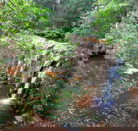 Waitui Falls - Stayed