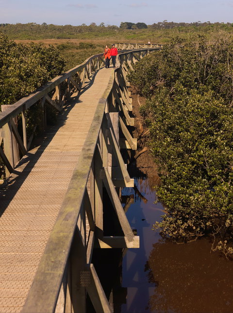 Warringine Park & Bittern Coastal Wetlands Boardwalk - Stayed 0