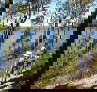 Wellington Discovery Forest - Stayed