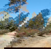 Werakata National Park - Stayed