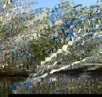 Wongi State Forest - Stays Accommodation