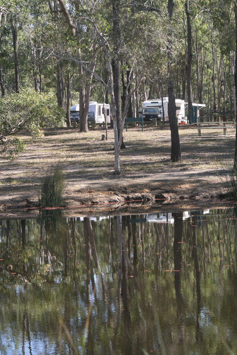 Wongi State Forest - Stayed 1