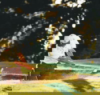 Aberdeen Golf Club - Stayed