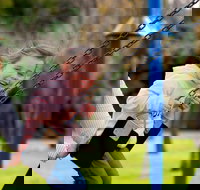 Apex Park Moree - Stayed