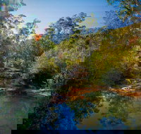 Bargo State Conservation Area - Stayed