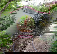 Black Dragon Gardens Wulong Yuan - Stayed