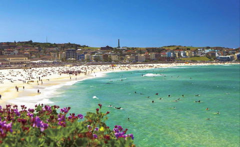 Bondi - Stays Accommodation 0