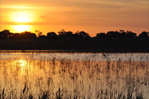 Bool Lagoon Game Reserve And Hacks Lagoon Conservation Park - Stays Accommodation 0