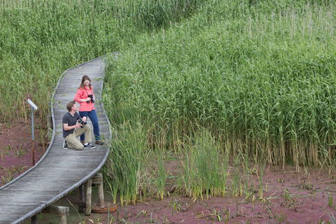 Bool Lagoon Game Reserve And Hacks Lagoon Conservation Park - Stays Accommodation 2