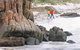 Bremer Bay - thumb 2