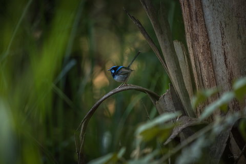 Bundian Way Story Trail - Stayed 1