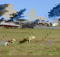 Calmsley Hill City Farm - Stayed