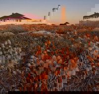 Cape Willoughby Heritage Trail - Stayed