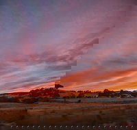 Cape Jervis - Stayed