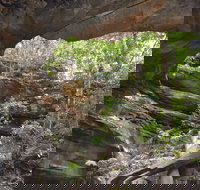 Cave Creek Walking Track - Stayed