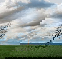 Clare Valley - Stayed