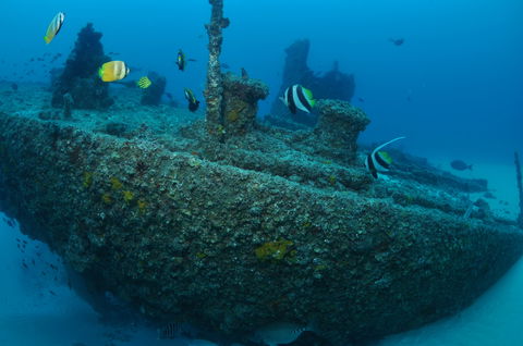 Curtin Artificial Reef Dive Site - Stayed 1