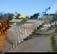 Darkes Forest Riding Ranch - Stayed