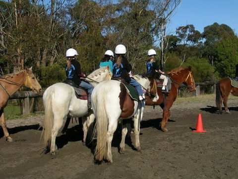 Darkes Forest Riding Ranch - Stayed 1