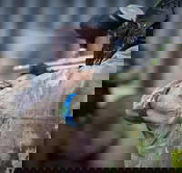 Delta Force Paintball - Stayed