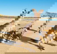 Diamond Head Beach - Stayed