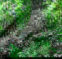 Djiru National Park - Stays Accommodation